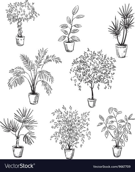 Flowers In Pots, Art Buildings, Plant Sketches, Aesthetic Architecture, Illustration Clip Art, Tree Sketches, Basic Drawing, Hand Drawn Vector Illustrations, Architectural Sketch