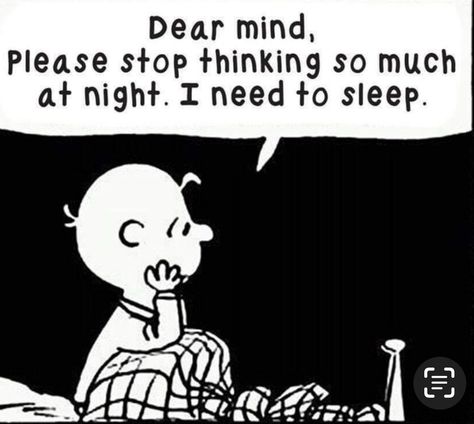 Charlie Brown Quotes, Cartoon Strip, Snoopy Quotes, Snoopy Pictures, Life Quotes Love, Charlie Brown And Snoopy, A Cartoon, Insomnia, To Sleep