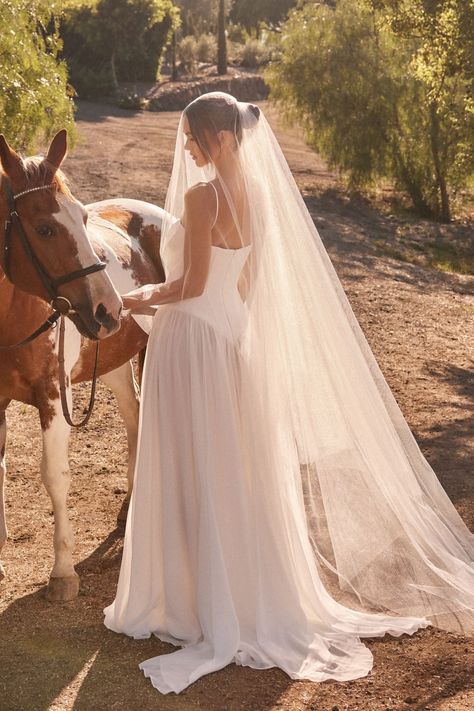 Wedding Dress Corset With Sleeves, Timeless Wedding Dresses Lace, Bustier Corset Wedding Dress, Wedding Dress For Intimate Wedding, Spring Outdoor Wedding Dress, Drop Waisted Wedding Dress, It Girl Wedding Dress, Low Waisted Wedding Dress, Cher Wedding Dress