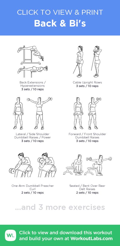 Begginer Gym Workout, Back And Bi Workout, Bi Workout, Bicep Workouts, Back And Bis, Workout Labs, Gym Exercises, Back Extensions, Gym Games