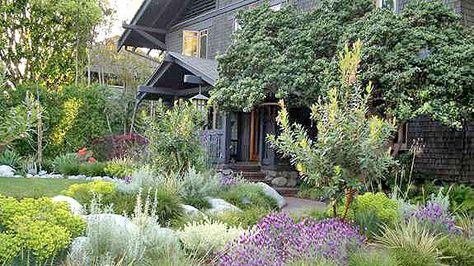 California Front Yard Landscaping Ideas, California Landscaping, Xeriscape Front Yard, California Native Garden, Lots Of Plants, Drought Tolerant Garden, Wildlife Garden, Front Yard Design, California Garden