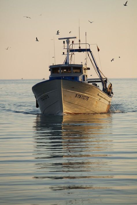 Fisherman's Wife, Navi A Vela, Sea Boat, Fishing Vessel, Bass Boat, Boat Art, Boat Painting, Fishing Guide, Boat Race