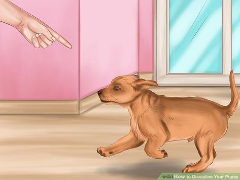 How to Discipline Your Puppy: 14 Steps (with Pictures) - wikiHow Puppy Barking, Tiny Puppies, Shepherd Dogs, American Staffordshire, Training Your Puppy, Pitbull Mix, Chihuahua Dogs, Dog Walker, Terrier Mix