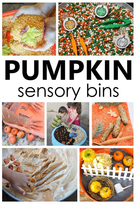 Pumpkin Sensory Bins for fall sensory play and autumn preschool activities Corn Sensory Bin, Pumpkin Sensory, Farm Sensory Bin, Fall Sensory Bin, Fun On The Farm, Fall Sensory, Harvest Corn, Pumpkin Life Cycle, Pumpkin Moon