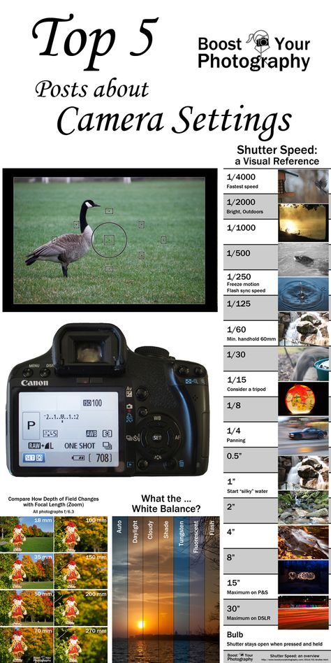 Kamera Dslr, Manual Photography, Digital Photography Lessons, Dslr Photography Tips, Photography Settings, Camera Aesthetic, Photography Cheat Sheets, Photography Help, Dslr Photography