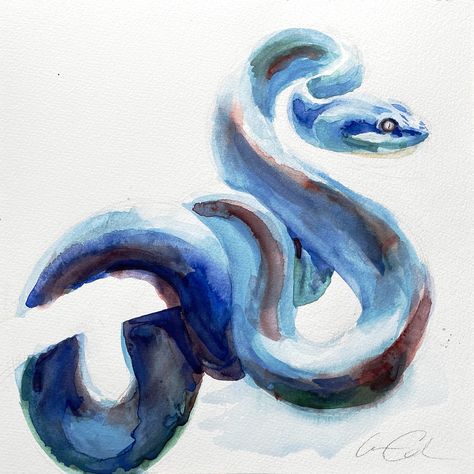 A blue snake painted in watercolor. The snake is coiled around a tree branch looking off to the right. Snake Painting, Snake Drawing, Coiled Snake, Spiritual Paintings, Blue Snake, Snake Art, Snake Eyes, Water Art, Watercolor Paintings Tutorials