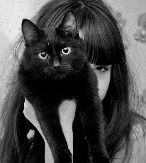 Metal Cats, Katt Grejer, Mini Toile, Lady Cat, Animale Rare, A Black Cat, Cat People, Bw Photo, Black Cats