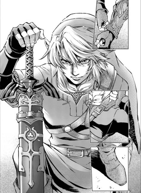 Twilight Princess Manga Link, Link Manga Panel, Legend Of Zelda Manga Panels, Zelda Manga Panels, Link Twilight Princess Manga, Twilight Princess Manga, Legend Of Zelda Manga, Akira Himekawa, Link Twilight Princess