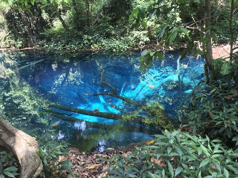 Not photoshop!!! Real blue water.... 🥰 #kalaw #myanmar #bluelake Kalaw Myanmar Photography, Myanmar Photography, Kalaw Myanmar, Kalaw, Fav Place, Vision Board Manifestation, Dream Places, Yangon, Blue Lake