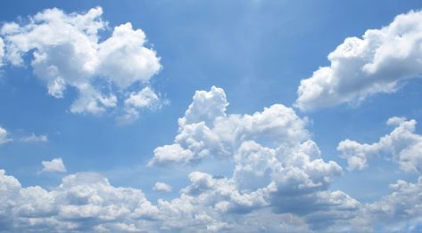 Nimbostratus Clouds, Cirrostratus Clouds, Wall Cloud, Cumulus Clouds, Tired Of People, Blue Sky Clouds, Cloud Photos, Bitcoin News, 패턴 배경화면