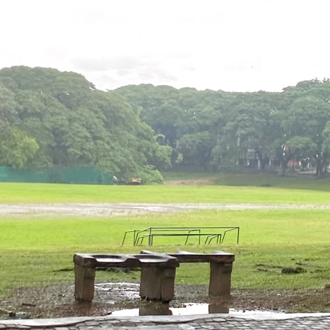 Up Sunken Garden, Sunken Garden Up Diliman, Up Diliman Aesthetic, University Of The Philippines Diliman, Up Diliman, Background Painting, Little Miss Perfect, Photoshoot Video, Sunken Garden