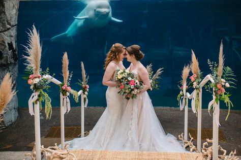 Aquarium Wedding Reception, Mystic Aquarium, Connecticut Wedding Venues, Prom 23, Aquarium Wedding, Interactive Events, Mystic Ct, London Wedding Venues, Water Wedding