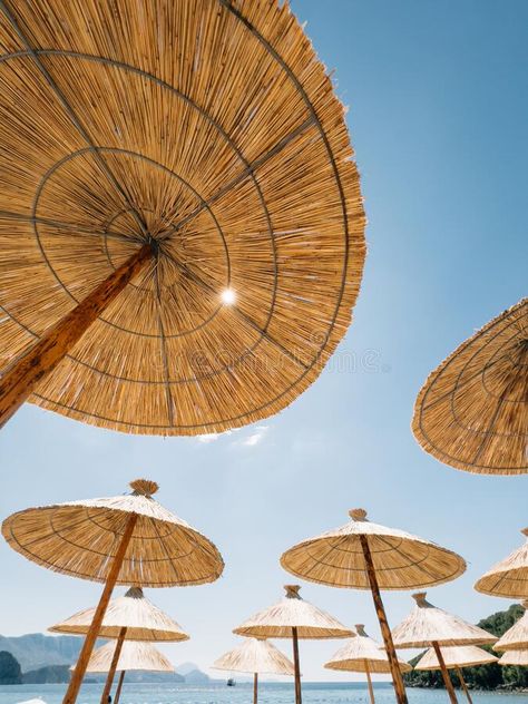 Straw sun umbrellas on the beach by the sea against the blue sky stock photography Straw Umbrella, Umbrella Beach, Cozy Backyard, Photography Sky, Tropical Escape, The Blue Sky, Sun Umbrella, Backyard Retreat, Clear Blue Sky