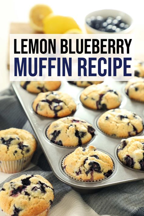 Lemon blueberry muffins Muffin Recipes Lemon Blueberry, Organic Blueberry Muffins, Easy Lemon Blueberry Muffins, Healthy Lemon Blueberry Muffins, Blueberry Muffins From Scratch, Frozen Blueberry Muffins, Cinn Rolls, Fresh Blueberry Muffins, Muffins From Scratch