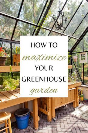 Greenhouse Interiors Shelving, Potting Bench In Greenhouse, Interior Of Greenhouse, Shelves In Greenhouse, Diy Greenhouse Shelves Potting Benches, Potting Shed Layout, Greenhouse Shelving Ideas Interiors, Green House Interior Ideas Planters, Greenhouse Design Interior