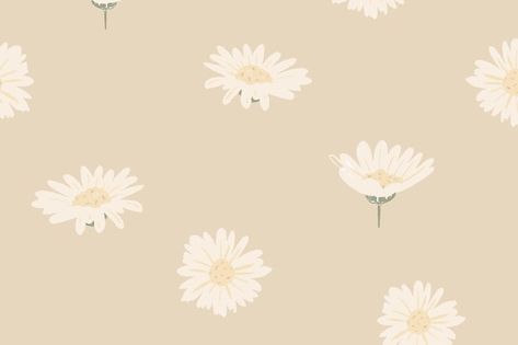 White Daisy, Simple Background, Wallpaper Aesthetic, Desktop Wallpaper, Floral Pattern, Daisy, Floral, Pattern, White