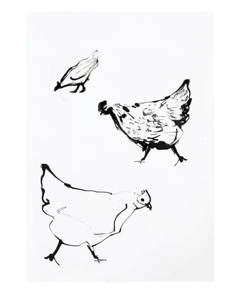 An artists sketchbook of line drawings inspired by a month in Cotswolds countryside. Simple line drawings for these illustrations of chickens. Animals, architecture and landscape drawings. Simple Line Art Animals, Chicken Line Drawing, Countryside Drawing, Underglaze Designs, Simple Bird Drawing, Farm Drawing, Animal Line Drawings, Chicken Drawing, Chicken Illustration