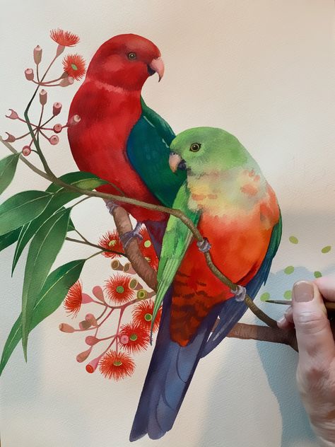 Australian Christmas Cards, King Parrot, Draw Birds, Australian Parrots, Parrot Painting, Bird Watercolor Paintings, Australian Christmas, Abstract Elements, Bird Watercolor