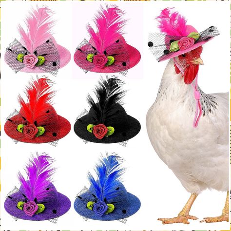 6 Pieces Chicken Hats for Hen Mini Hat Chicken Helmet Accessories Feather Top Hat Funny Small Hat Tiny Pet Hat with Adjustabl Funny Pet Costumes, Chicken Accessories, Chicken Hats, Puppy Hats, Dragon Hats, Feather Top, Mini Hat, Cute Chickens, Animal Hats