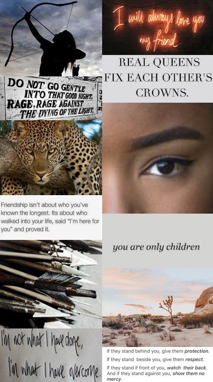 Spirit Animals Book, Spirit Animals Series, Oc Board, Real Queens, Spirit Animals, Animal Book, Wallpaper Images, Phone Wallpaper Images, Book Memes