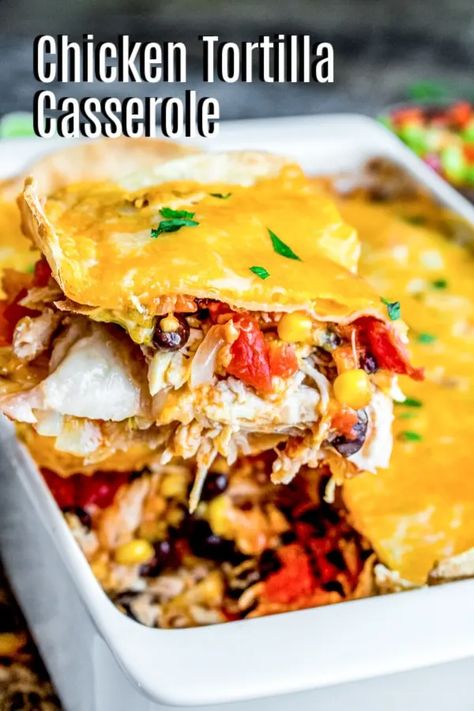 Chicken Tortilla Casserole is an easy, cheesy, Mexican dinner recipe made with layers of flour tortillas and a flavorful filling of chicken, spicy tomatoes, black beans, corn, and cheese. It is an easy weeknight casserole that makes a great dinner recipe. If you love Mexican flavors this chicken tortilla casserole is perfect for you. #chicken #casserole #tortillas #comfortfood Tortilla Casserole Recipes, Easy Weeknight Casseroles, Casserole Enchilada, Mexican Tortilla Casserole, Chicken Tortilla Casserole, Panini Recipes Chicken, Tortilla Casserole, Slow Cooker Shredded Chicken, Mexican Chicken Casserole