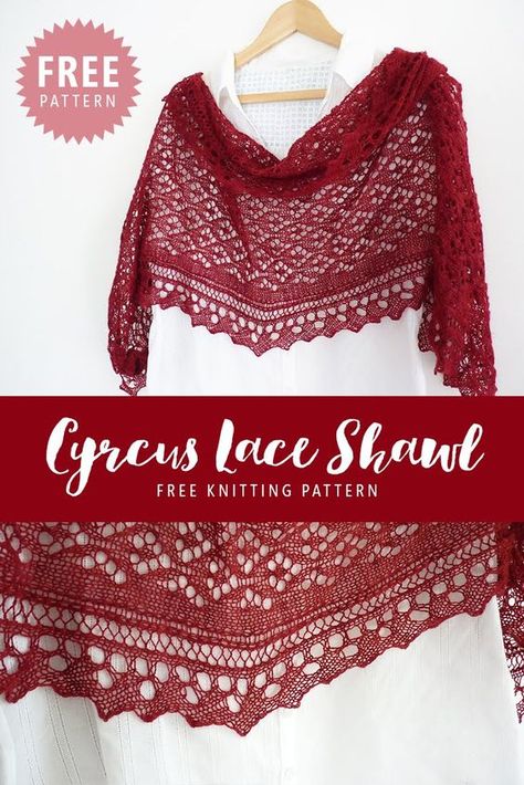 Lace Knitting Shawl, Lace Shawl Pattern, Lace Shawls, Diy Tricot, Lace Knitting Stitches, Crochet Lace Shawl, Lace Knitting Patterns, Crochet Shawls And Wraps, Shawl Knitting Patterns