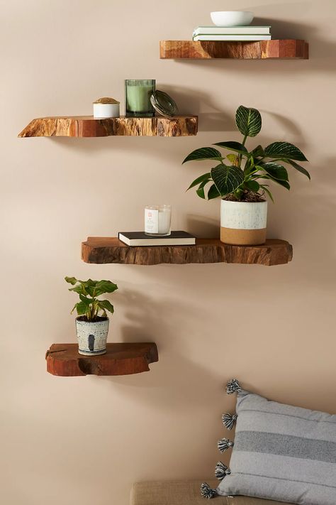 Takara Live-Edge Shelf | Anthropologie Sconces Over Floating Shelves Living Room, Living Edge Shelves, Apartment Cheap Decor, Plant Shelves For Wall, Small Accent Wall Decor, Room Decor With Green Walls, Earthy Wall Decor Living Room, Book Shelves Hanging, Small Wood Home Decor