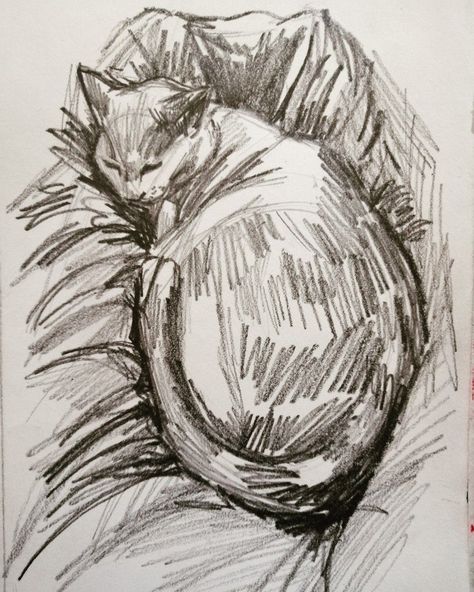 Sketchy Alleyway, Illustration Chat, Cat Poems, Human Sketch, Cat Sketch, Graphic Arts Illustration, Ap Art, Cat Sleeping, Anatomy Art