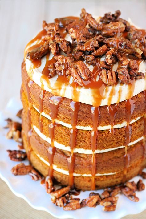 This impressive Pumpkin Cake features a salted caramel frosting and is perfect for holiday entertaining! This moist and flavorful pumpkin cake recipe is topped with candied pecans and more salted caramel creating the most PERFECT cake for fall! Truly the perfect fall dessert! // Glorious Treats #pumpkincake #pumpkin #cakerecipes #baking #pumpkinrecipes #fallentertaining Impressive Fall Desserts, Salted Caramel Frosting, Salted Caramel Cake, Thanksgiving Cakes, Pumpkin Cake Recipes, Caramel Frosting, Fall Cakes, Caramel Cake, Decadent Cakes