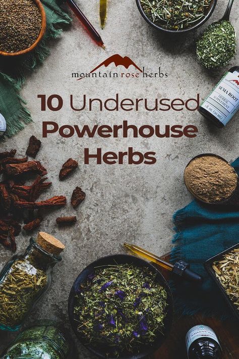 10 Underused Herbs for Wellness Giant Hyssop, Anise Hyssop, Home Apothecary, Medicine Garden, Mountain Rose, Mountain Rose Herbs, Healing Remedies, Homemade Tea, Herbal Recipes