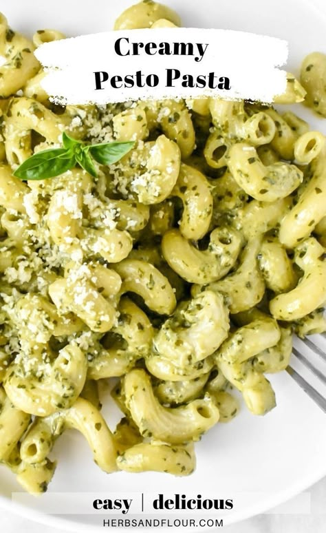 Simple Pesto Pasta Salad, Pesto Pasta Healthy Recipe, Creamy Pesto Pasta Salad Recipes, Cold Creamy Pesto Pasta Salad, Meal Prep Pesto Pasta, Pesto Pasta With Jarred Pesto, Pesto And Cream Cheese Pasta, Healthy Creamy Pesto Pasta, Pesto Pasta Dinner Recipes