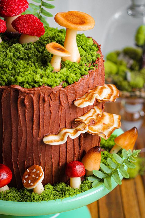 Enchanted Forest Chocolate Cake — Must Love Herbs Mushroom Log Cake, Edible Mushrooms For Cake, Nature Cake Ideas, Cake With Mushrooms, Forest Cake Ideas, Nature Cakes, Enchanted Forest Cake, Moss Cake, Cake Autumn