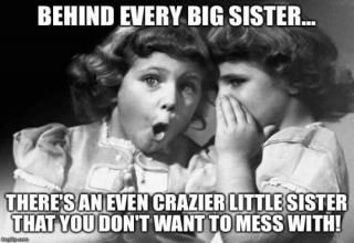 Rose Hill Designs, Siblings Funny Quotes, Sibling Memes, Siblings Funny, Sister Quotes Funny, Love My Sister, Chicken Nugget, Sisters Funny, Sister Quotes