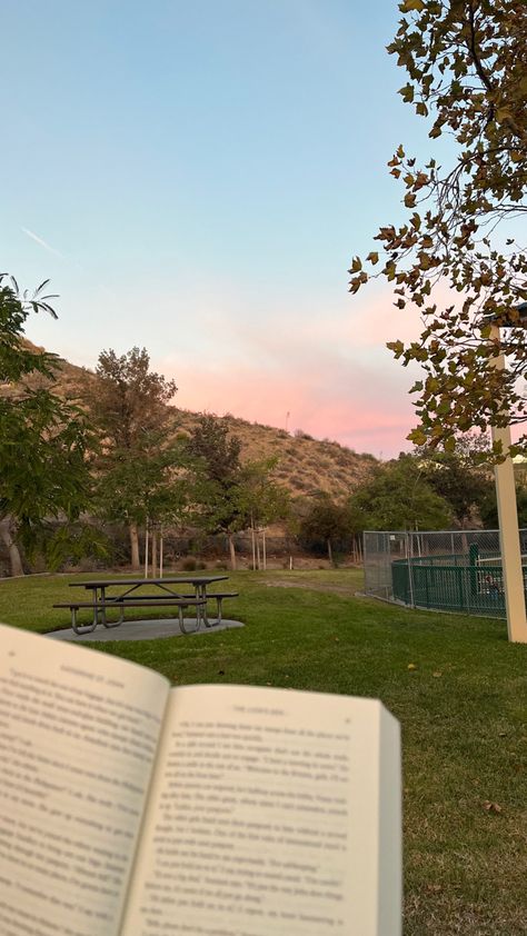 Reading In The Park, Reading Park, Sunset Trees, Park Sunset, Girl Reading Book, Pretty Aesthetic, Fall Reading, Park Pictures, Book Flowers