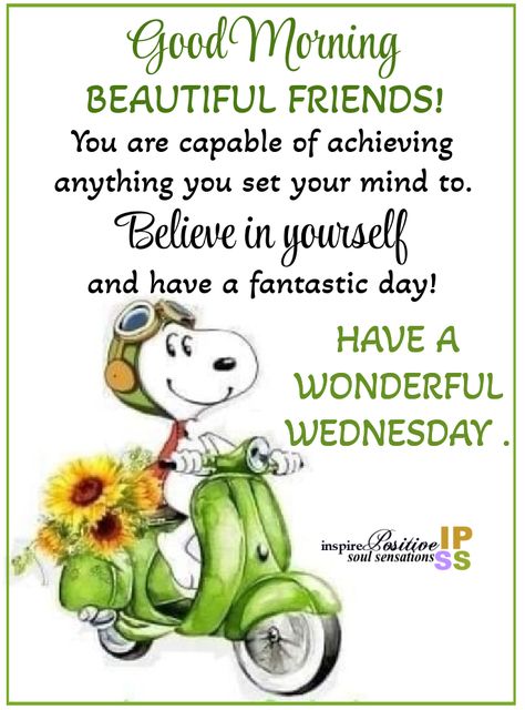 Have A Wonderful Wednesday, Wednesday Morning Greetings, Wednesday Morning Quotes, Wednesday Greetings, Wednesday Blessings, Good Morning Dear Friend, Have A Fantastic Day, Good Wednesday, Good Morning Wednesday