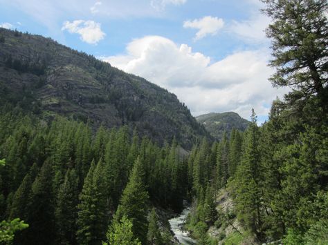 Rattlesnake wilderness Missoula, Montana Missoula Montana, Montana, Antique Cars, Travel Inspiration, Places To Go, Favorite Places, Universe, Natural Landmarks, Cars