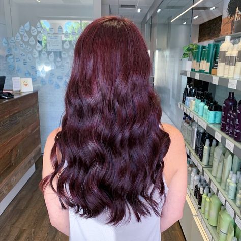 Cranberry Purple Hair, Berry Brown Hair Color Purple, Berry Plum Hair Color, Burgandy Purple Hair, Glossy Plum Hair, Bergandi Color Hair, Berry Hair Color Plum, Dark Berry Hair, Berry Colored Hair