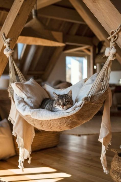 25 DIY Cat Hammock [Make Within Minutes] – craftydiyers.com Ceiling Cat Bed, Diy Window Cat Perch, Pet Hammock Diy, Diy Cat Hammock Easy, Cat Stuff Diy, Cat Playground Indoor Diy, Crochet Cat Hammock, Cat Perch Diy, Cat Hammock Diy