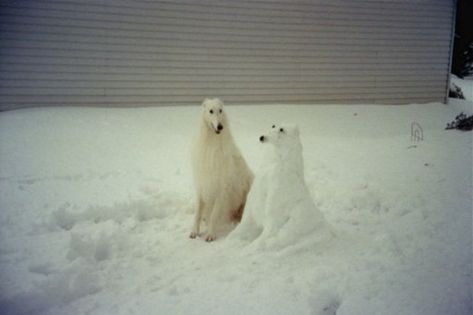 dog, snow, winter, aesthetic, snowdog, snowman, nostalgia Liam Mccay, Dog In Snow, Dog Snow, Snow Dog, Borzoi Dog, Spiritual Animal, Dog Motif, Blood Art, Best Dog Breeds