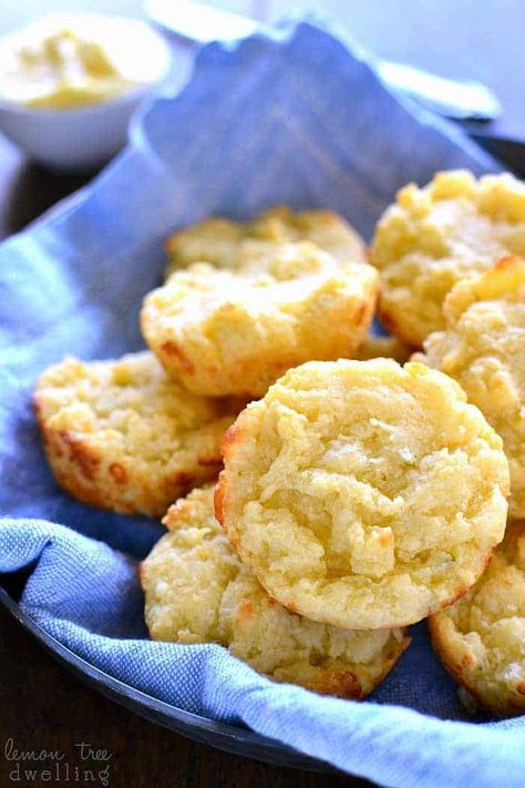 Easy Cheesy Muffin Tin Biscuits Lemon Tree Dwelling, Cheesy Biscuit, Cheese Brands, Biscuits Easy, Biscuit Bake, Bread Roll, Stoneware Dishes, Pepper Jack Cheese, Easy Cheesy