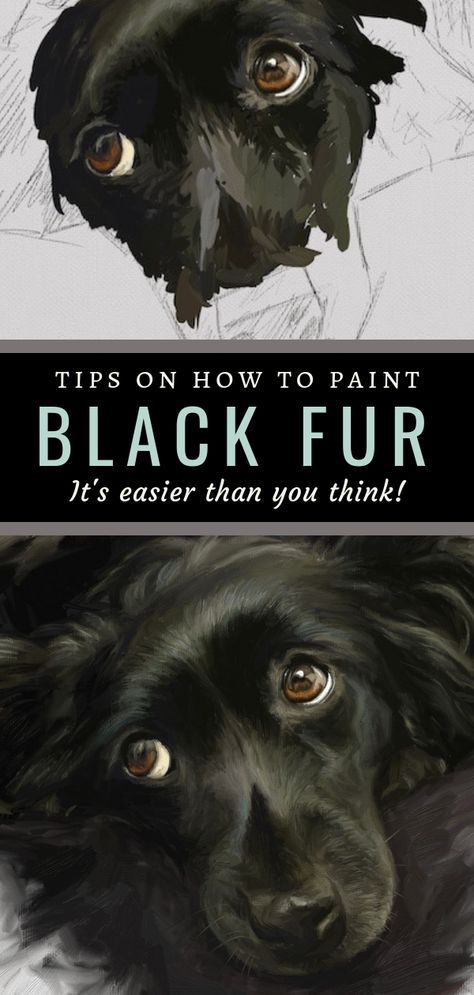 Dog Drawing Tutorial, Tips For Painting, Dog Portraits Painting, Painting Fur, Dog Portraits Art, Výtvarné Reference, Paint Black, Digital Painting Tutorials, Painting Lessons