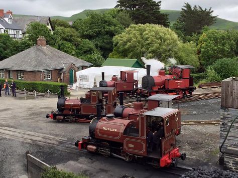 Talyllyn Railway, Bluebell Railway, Transformers Humanized, Steam Trains Photography, Steam Art, Garden Railway, Great Western Railway, Steam Engine Trains, Steam Railway