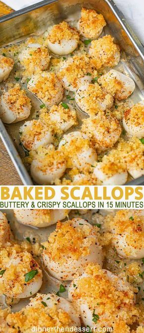 Crispy Baked Scallops are buttery and crispy with panko, Parmesan Cheese, paprika, butter and olive oil baked in just 15 minutes. #scallops #seafood #bakedscallops #dinner #easy #dinnerthendessert Baked Scallops, Scallop Recipes, Fish Dinner, Seafood Dinner, Dinner Easy, Linguine, Fish Dishes, Parmesan Cheese, Seafood Dishes