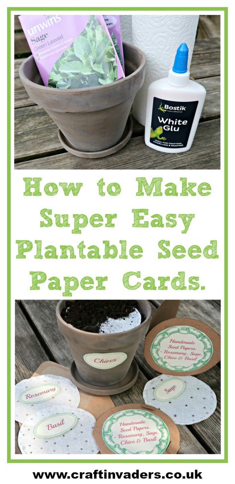 We show you how to make Super Easy Plantable Seed Paper Cards using Bostik White Glue and Kitchen Towel. Seed Paper Diy, Seed Paper Cards, Seed Cards, Seed Craft, Craft Paper Wrapping, Flower Seed Paper, Plantable Paper, Plantable Seed Paper, Paper Wrapping