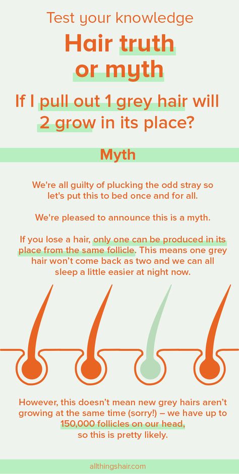 Hair Myth, Hair Facts, Fact Or Fiction, Popular Hair, Hair Advice, Hair Tips, Tips Tricks, Grey Hair, Grow Hair