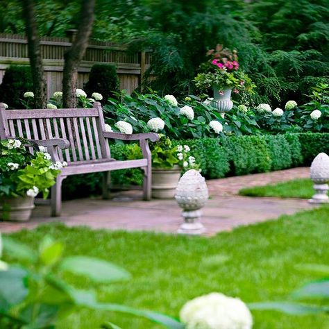 Boxwood Landscaping, Formal Garden Design, Annabelle Hydrangea, Boxwood Garden, Garden Hedges, Boxwood Hedge, Hydrangea Not Blooming, Formal Garden, Garden Shrubs