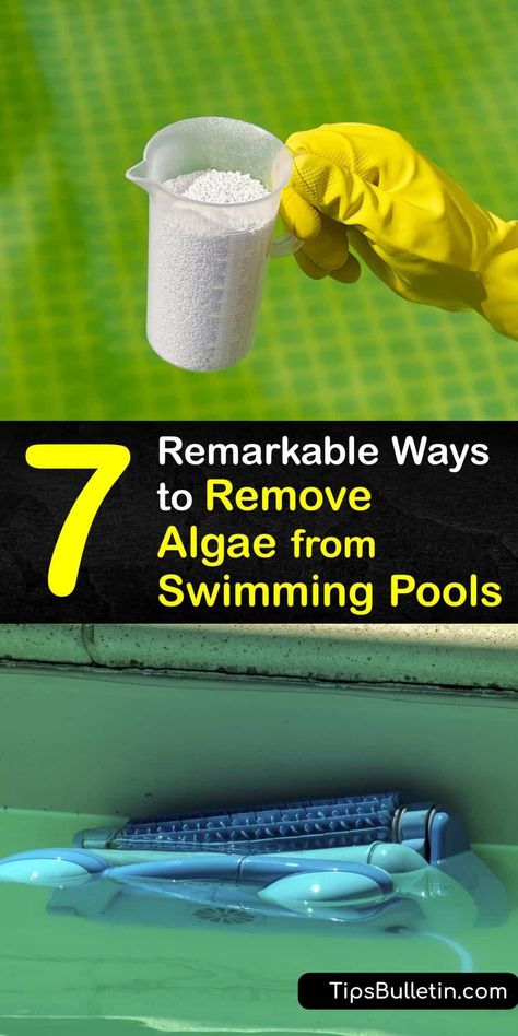 Clean Pool Water, Green Pool Water, Pool Cleaning Tips, Pool Algae, Inside Pool, Swimming Pool Maintenance, Swimming Pool Cleaning, Pool Shock, Green Pool