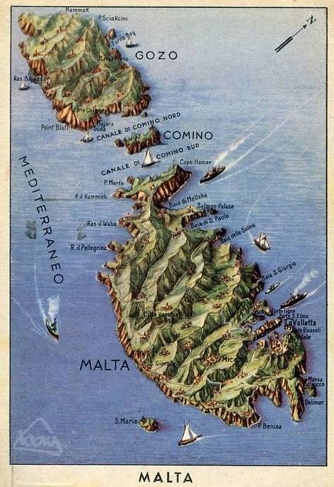 An old description of the Maltese Islands Malta Map, Honeymoon Adventure, Malta History, Maltese Islands, Malta Gozo, Malta Island, Malta Travel, The Alps, Antique Maps