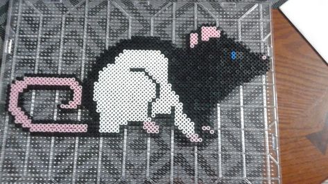 Black Hooded Rat Perler Beads Perler Bead Rats, Rat Perler Beads, Rat Crafts, Hooded Rat, Bead Things, Perler Projects, Pokemon Bead, Diy Perler Bead Crafts, Beads Designs