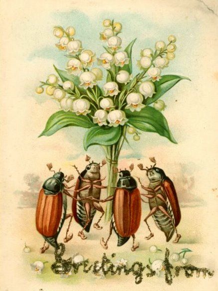 Beetles dancing around flower. Woodland Illustration, Aesthetic Garden, Bug Art, Garden Aesthetic, Insect Art, Arte Inspo, Ideas Garden, Art And Illustration, Funky Art